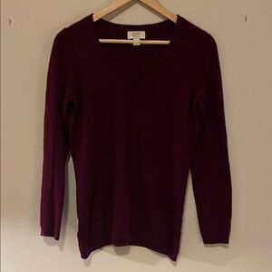 LOFT Cashmere V-Neck Sweater - Plum